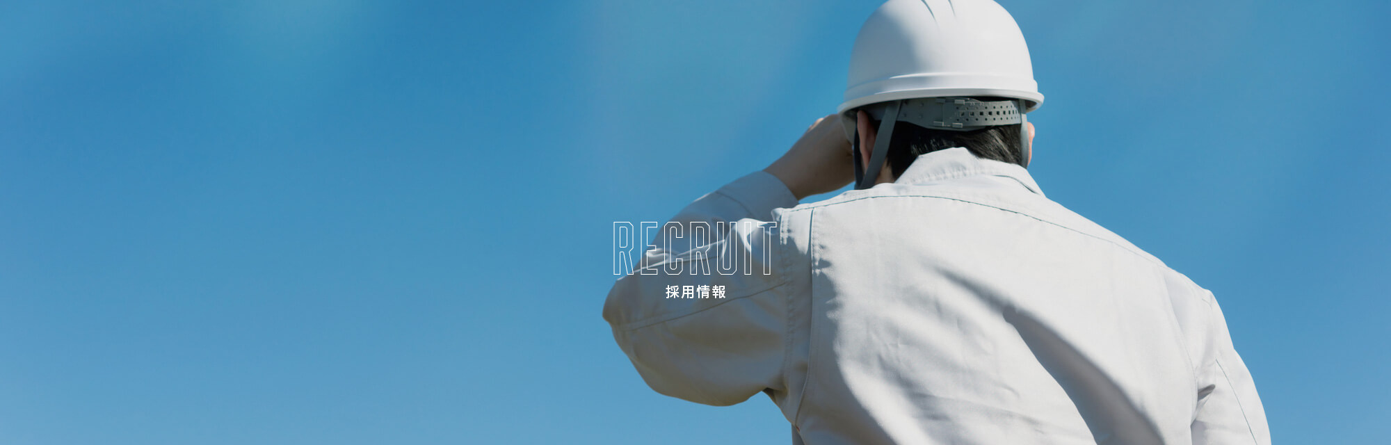 採用情報