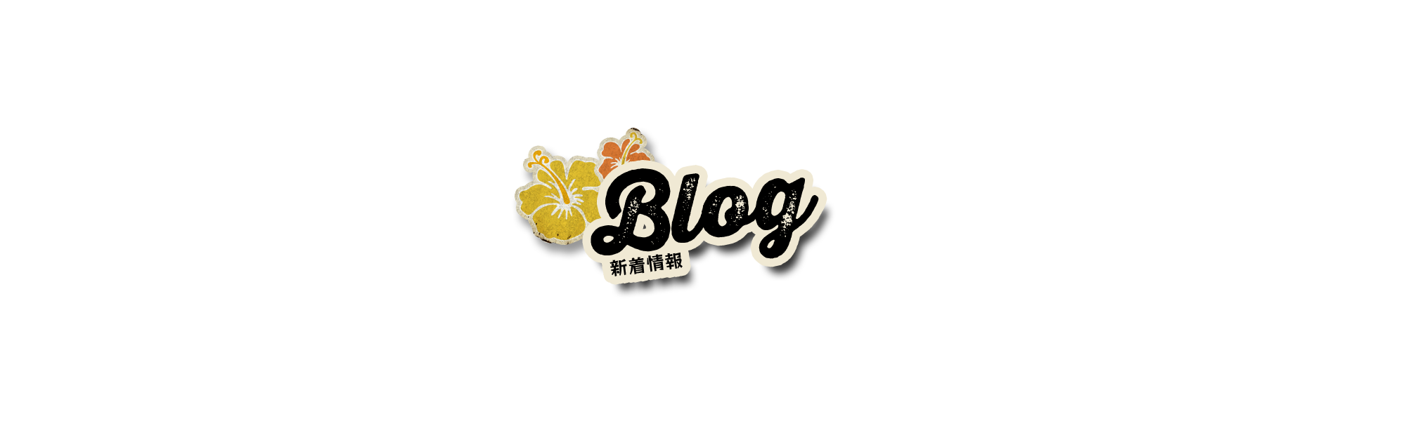 新着情報